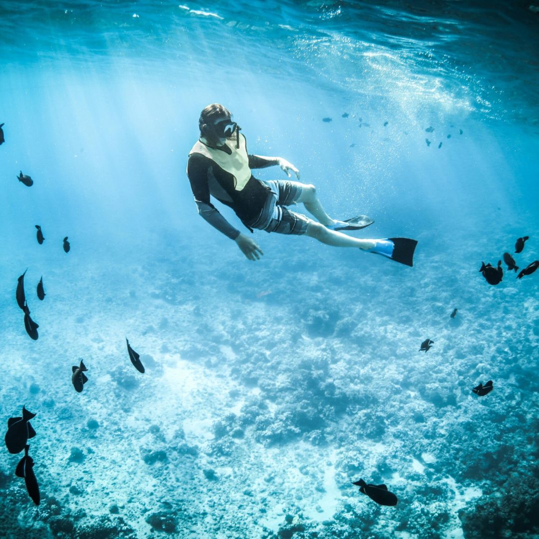 Person snorkeling among vibrant marine life in a tropical, turquoise sea.